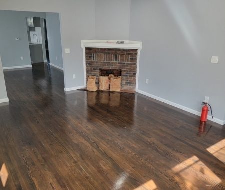 3873044 - 223 E Blancke St 2